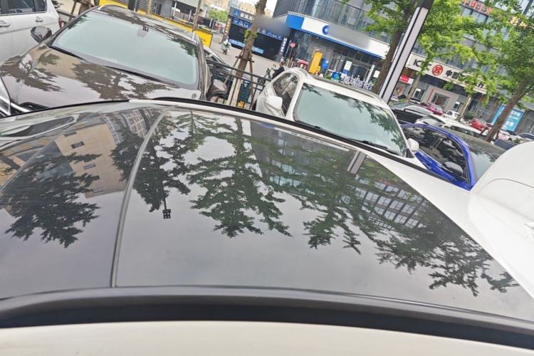 Used Ford Focus Active 2020 EcoBoost 180 Automatic Trendy Model Roof