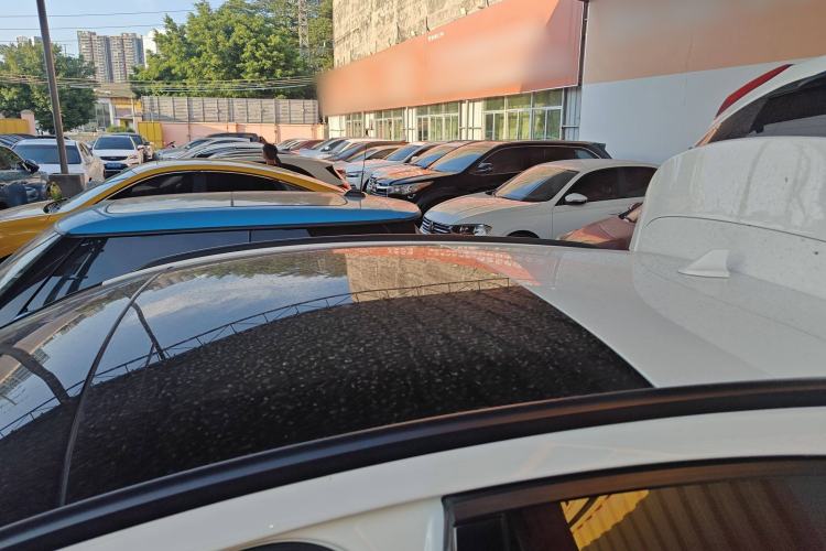 Used Ford Focus Active 2020 EcoBoost 180 Automatic Trendy Model Roof