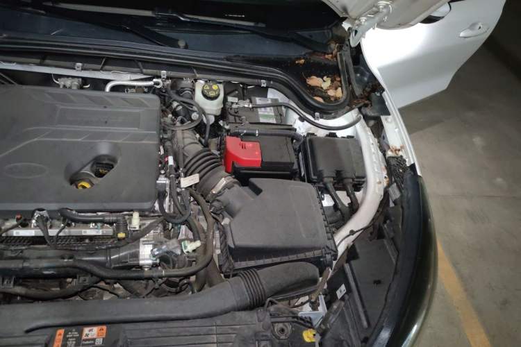 Used Ford Focus Active 2021 EcoBoost 180 Automatic Trendy Model Engine Bay Left