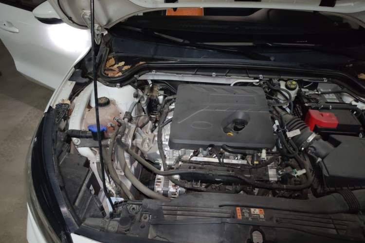 Used Ford Focus Active 2021 EcoBoost 180 Automatic Trendy Model Engine Bay Right