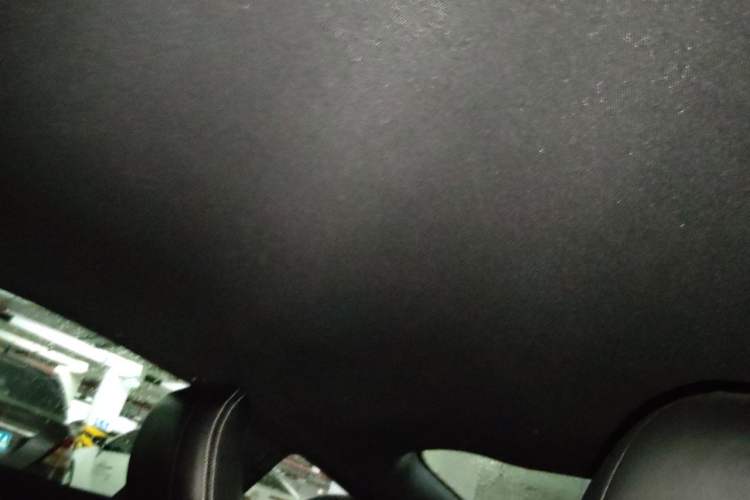 Used Ford GT  Headliner