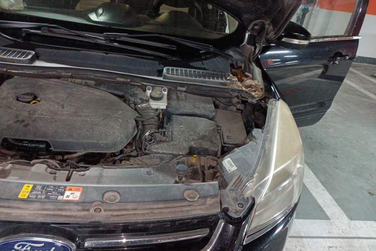 Used Ford Kuga 2013 1.6L GTDi Two-Wheel-Drive Comfort Model Engine Bay Left