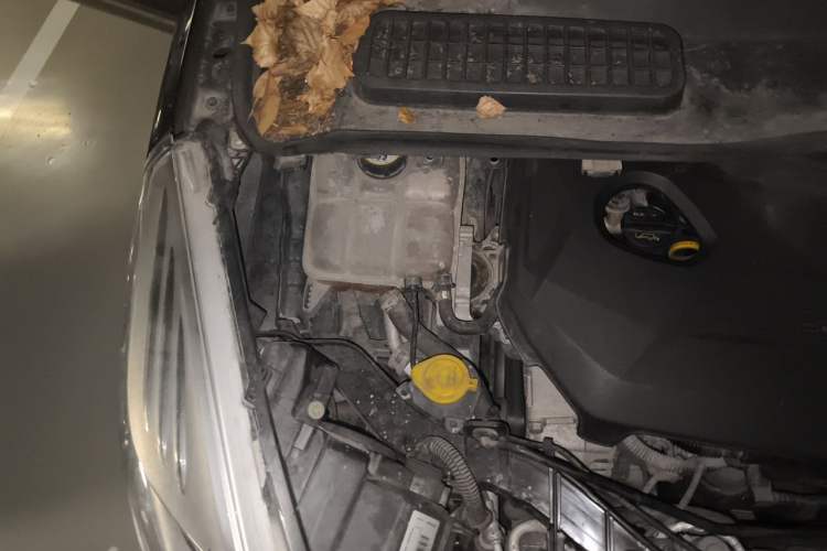 Used Ford Kuga 2013 1.6L GTDi 4x4 Elite Model Engine Bay Right