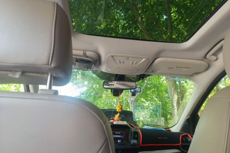 Used Ford Kuga 2013 2.0L GTDi Four-Wheel-Drive Elite Model Headliner