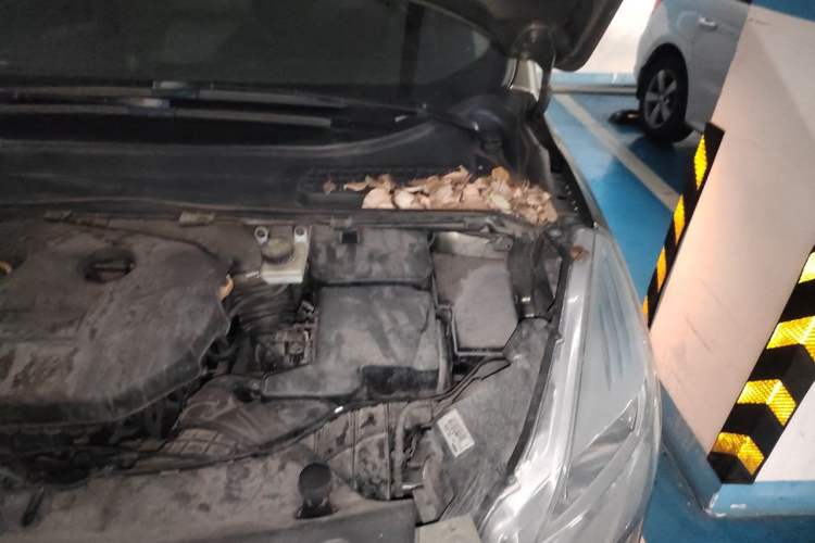 Used Ford Kuga 2013 2.0L GTDi Four-Wheel-Drive Elite Model Engine Bay Left