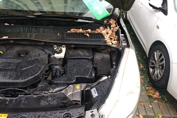 Used Ford Kuga 2013 2.0L GTDi Four-Wheel-Drive Elite Model Engine Bay Left