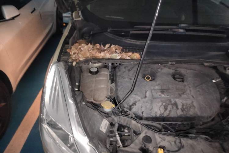 Used Ford Kuga 2013 2.0L GTDi Four-Wheel-Drive Elite Model Engine Bay Right