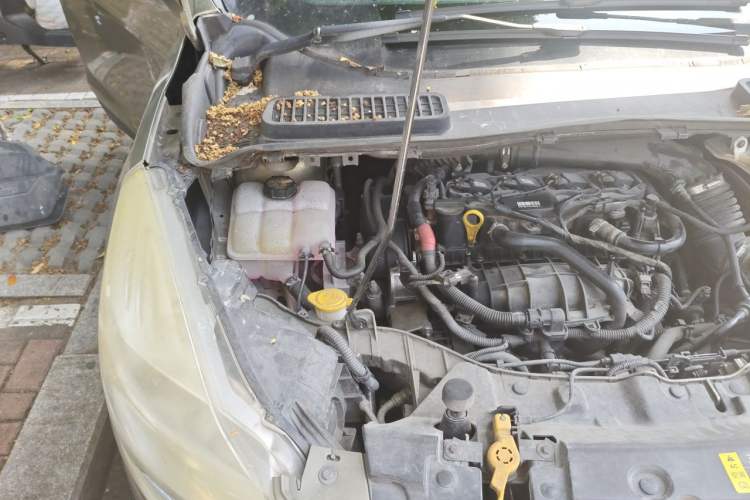 Used Ford Kuga 2013 1.6L GTDi Two-Wheel-Drive Comfort Model Engine Bay Right