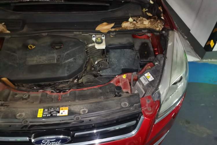 Used Ford Kuga 2013 2.0L GTDi Four-Wheel-Drive Sport Model Engine Bay Left