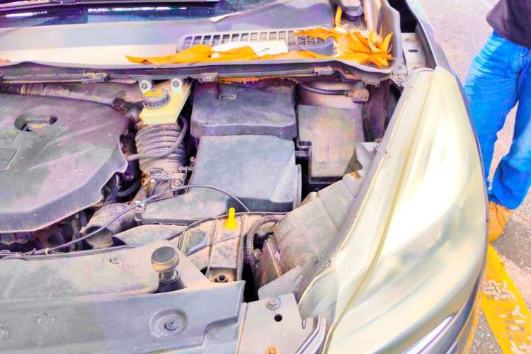 Used Ford Kuga 2013 2.0L GTDi Four-Wheel Drive Premium Model Engine Bay Left