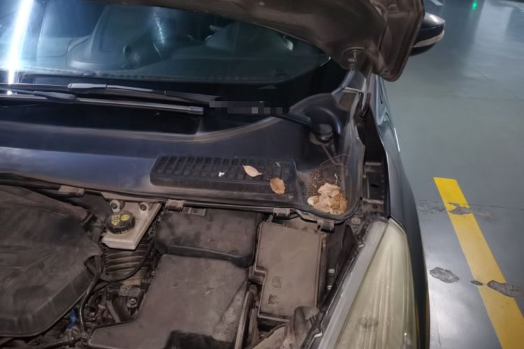 Used Ford Kuga 2013 1.6L GTDi Two-Wheel-Drive Comfort Model Engine Bay Left