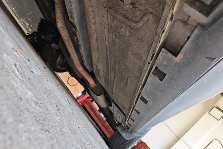Used Ford Kuga 2013 1.6L GTDi 4x4 Elite Model Chassis Front Left