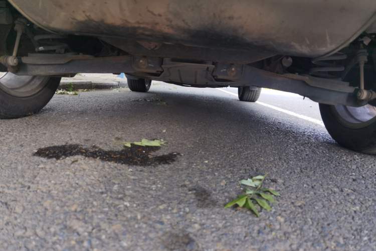 Used Ford Kuga 2013 1.6L GTDi Two-Wheel-Drive Comfort Model Chassis Rear