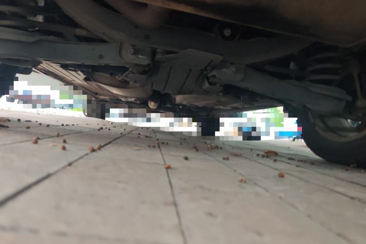 Used Ford Kuga 2013 1.6L GTDi 4x4 Elite Model Chassis Rear