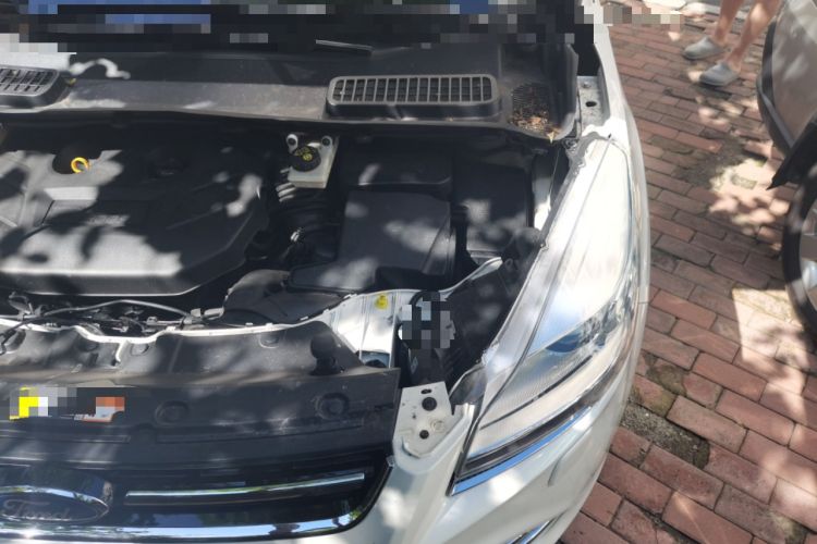 Used Ford Kuga 2013 2.0L GTDi Four-Wheel-Drive Sport Model Engine Bay Left