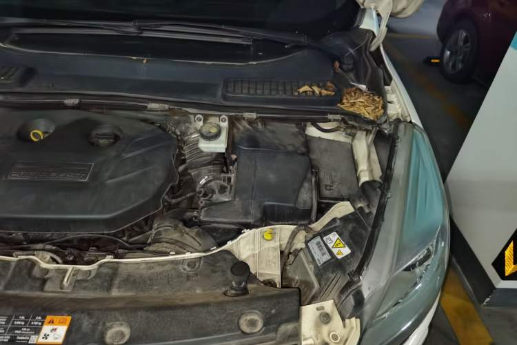 Used Ford Kuga 2013 2.0L GTDi Four-Wheel Drive Premium Model Engine Bay Left