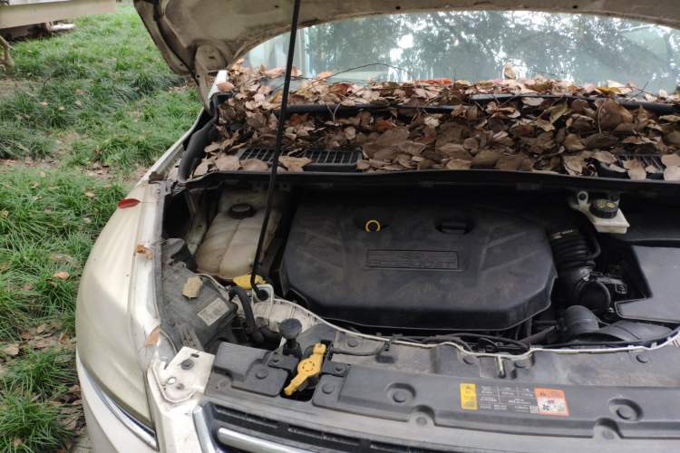 Used Ford Kuga 2013 2.0L GTDi Four-Wheel-Drive Elite Model Engine Bay Right