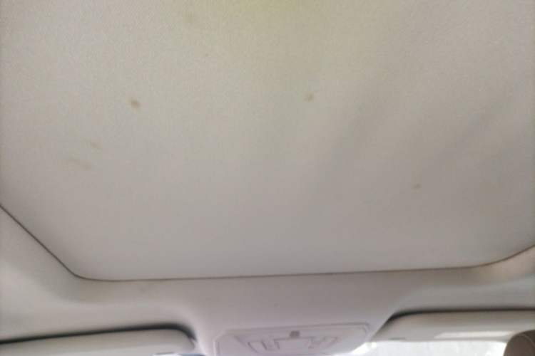 Used Ford Kuga 2013 2.0L GTDi Four-Wheel-Drive Elite Model Headliner