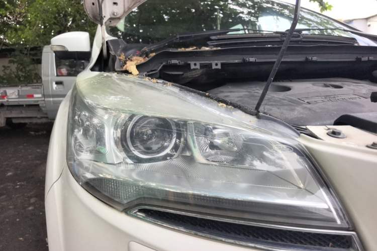 Used Ford Kuga 2013 2.0L GTDi Four-Wheel-Drive Sport Model Right Front Headlight