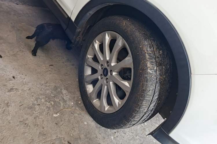 Used Ford Kuga 2013 1.6L GTDi 4x4 Elite Model Right Front Wheel Hub