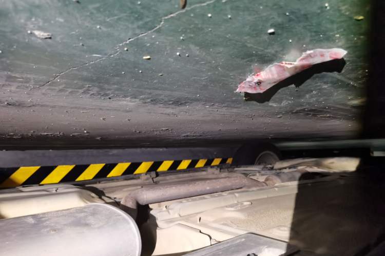 Used Ford Kuga 2013 1.6L GTDi Two-Wheel-Drive Trend Model Chassis Rear Left