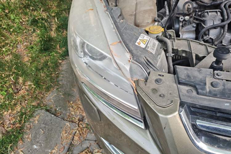 Used Ford Kuga 2013 2.0L GTDi Four-Wheel-Drive Sport Model Right Front Headlight
