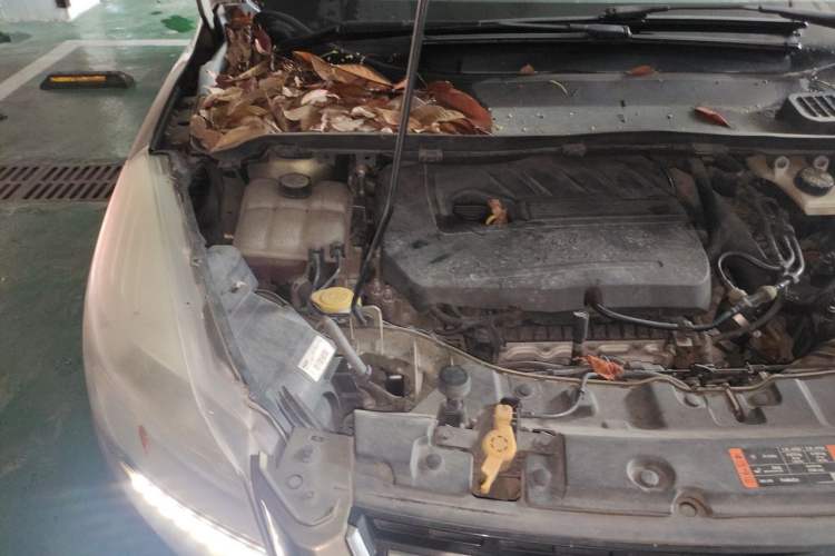 Used Ford Kuga 2015 1.5L GTDi Four-Wheel-Drive Elite Model Engine Bay Right