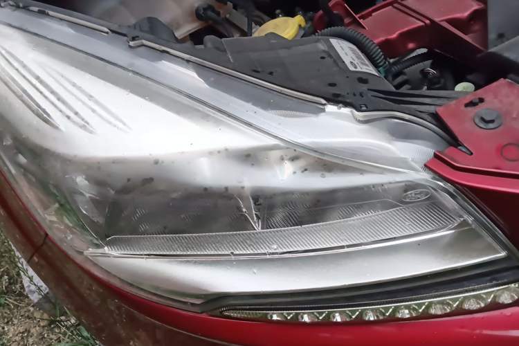Used Ford Kuga 2015 1.5L GTDi Four-Wheel-Drive Elite Model Right Front Headlight