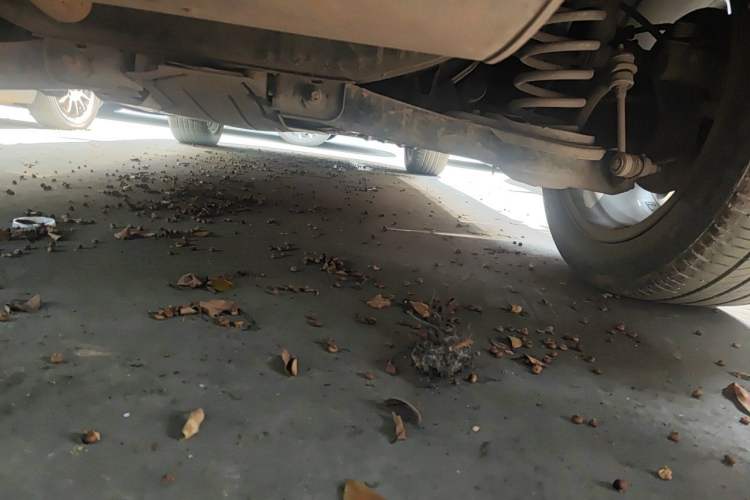 Used Ford Kuga 2015 1.5L GTDi Two-Wheel Drive Fashion Edition Chassis Rear