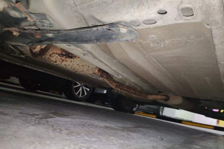 Used Ford Kuga 2015 1.5L GTDi Two-Wheel Drive Fashion Edition Chassis Front Left