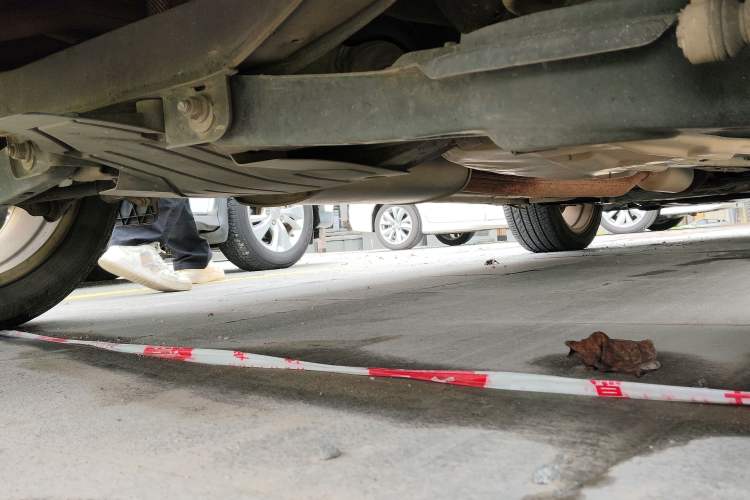Used Ford Kuga 2015 1.5L GTDi Two-Wheel-Drive Comfort Model Chassis Rear Right