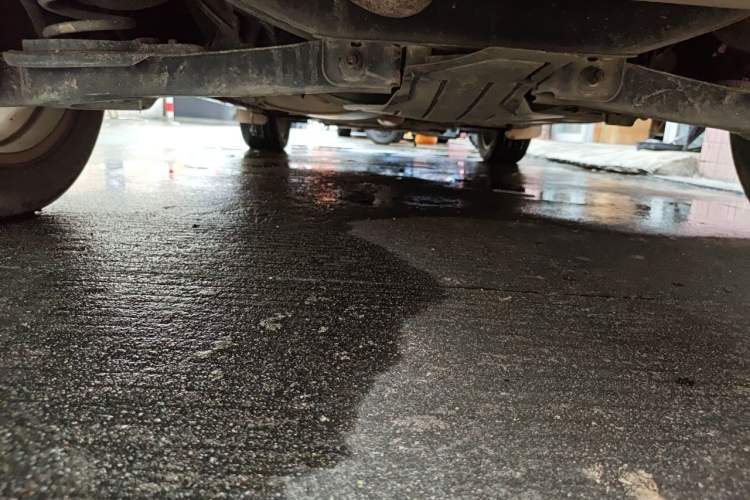Used Ford Kuga 2015 1.5L GTDi Two-Wheel Drive Fashion Edition Chassis Rear