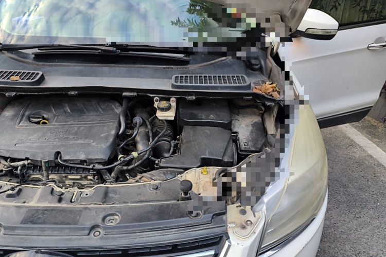 Used Ford Kuga 2015 1.5L GTDi Four-Wheel-Drive Elite Model Engine Bay Left