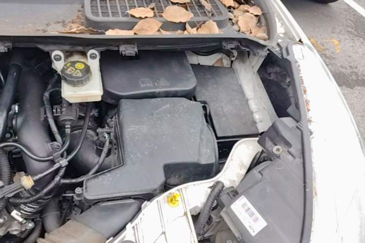 Used Ford Kuga 2015 1.5L GTDi Four-Wheel-Drive Elite Model Engine Bay Left