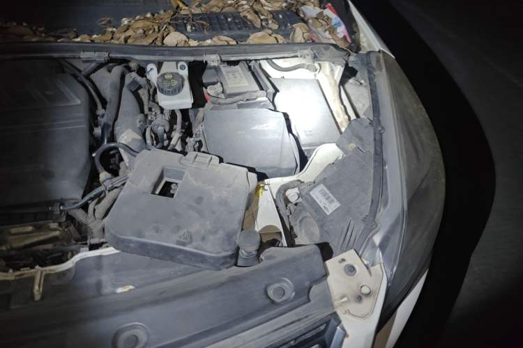 Used Ford Kuga 2015 1.5L GTDi Four-Wheel-Drive Elite Model Engine Bay Left