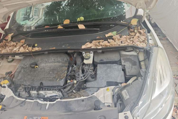 Used Ford Kuga 2015 1.5L GTDi Two-Wheel-Drive Comfort Model Engine Bay Left