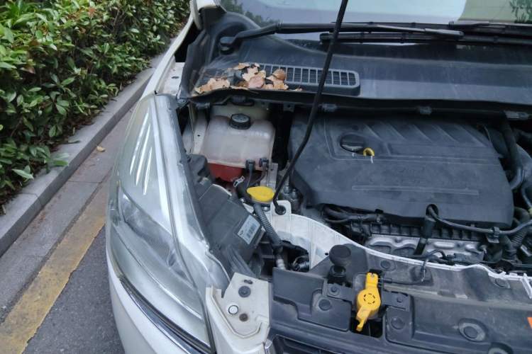 Used Ford Kuga 2015 1.5L GTDi Two-Wheel Drive Fashion Edition Engine Bay Right