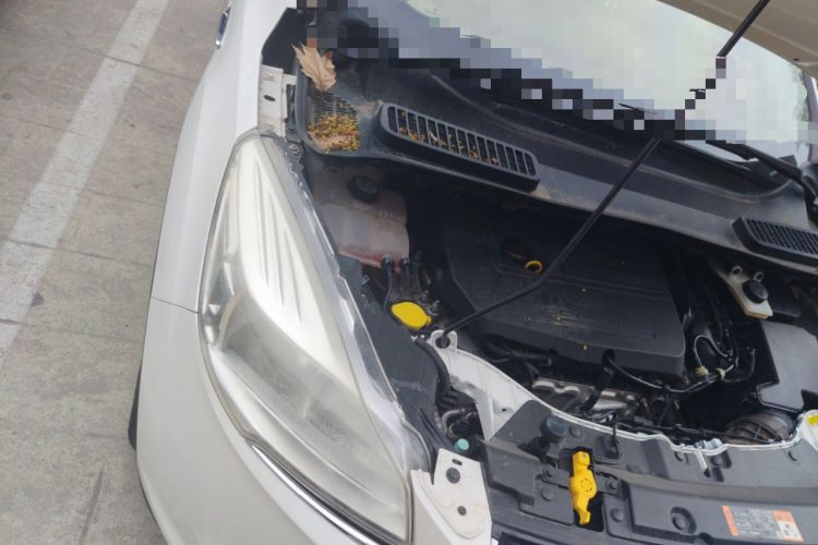 Used Ford Kuga 2015 1.5L GTDi Four-Wheel-Drive Elite Model Engine Bay Right