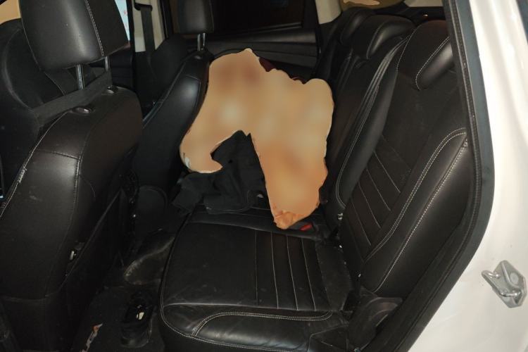 Used Ford Kuga 2015 2.0L GTDi Four-Wheel Drive Prestige Model Left Rear Seat