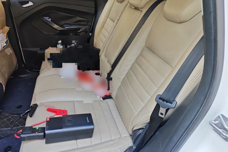 Used Ford Kuga 2015 1.5L GTDi Two-Wheel-Drive Comfort Model Left Rear Seat