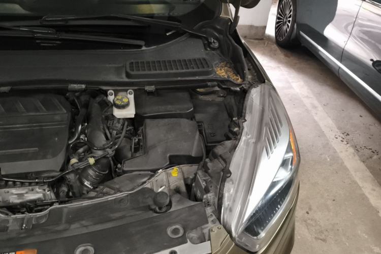 Used Ford Kuga 2017 EcoBoost 180 Two-Wheel-Drive Platinum Edition Engine Bay Left
