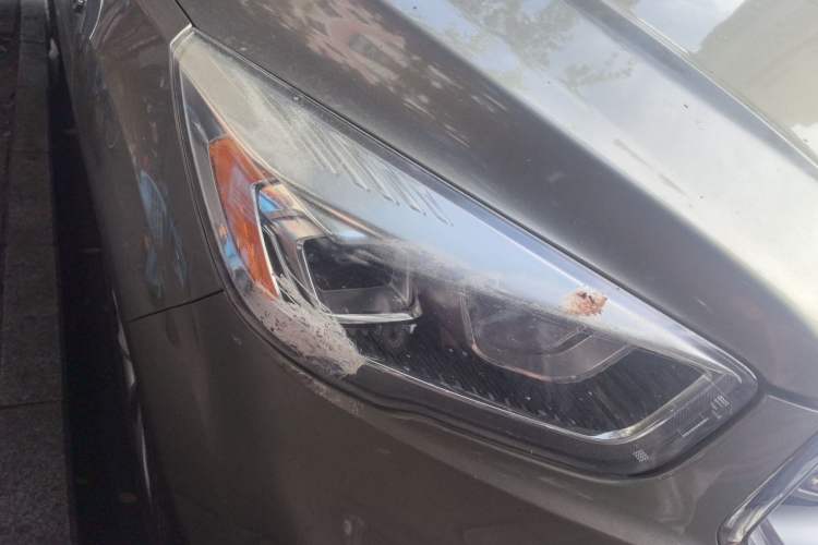 Used Ford Kuga 2017 EcoBoost 180 Two-Wheel-Drive Luxury Wing Edition Right Front Headlight