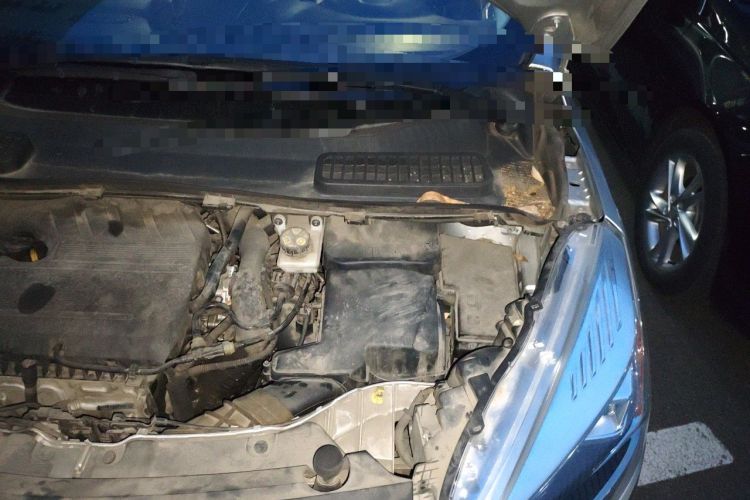 Used Ford Kuga 2017 EcoBoost 180 Two-Wheel-Drive Tiger Leap Model Engine Bay Left