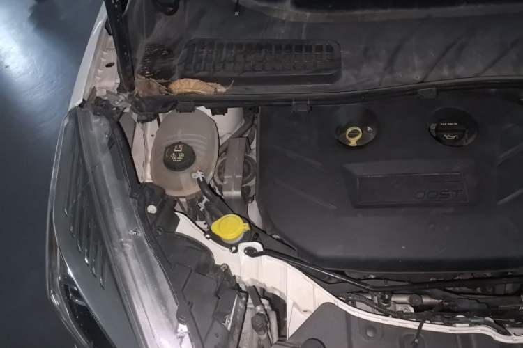 Used Ford Kuga 2017 EcoBoost 245 4x4 Prestige Edition Engine Bay Right