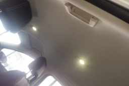 Thumbnail 19