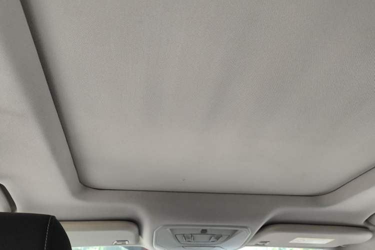 Used Ford Kuga 2017 EcoBoost 245 Four-Wheel Drive Platinum Edition Headliner