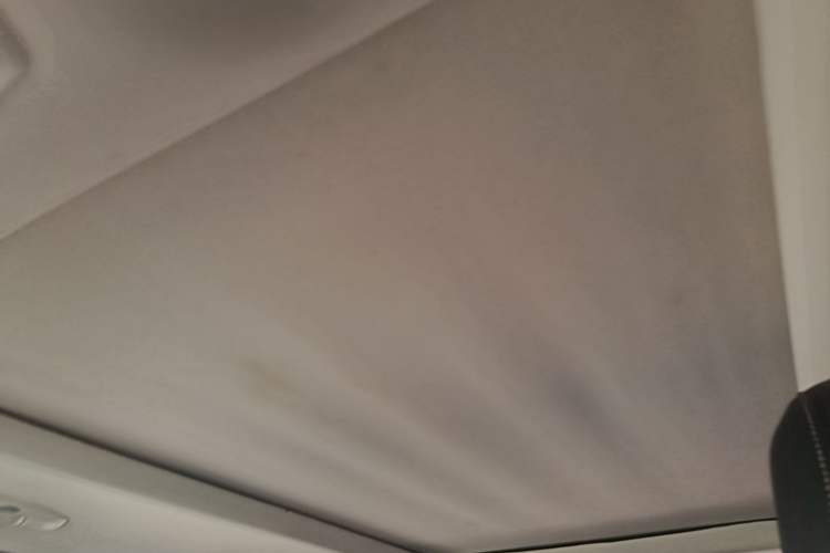 Used Ford Kuga 2017 EcoBoost 245 Four-Wheel Drive Platinum Edition Headliner