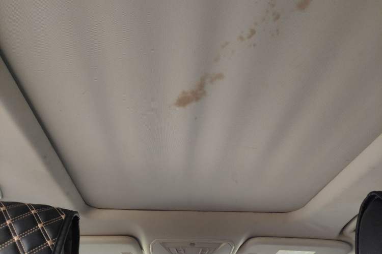 Used Ford Kuga 2017 EcoBoost 180 Two-Wheel-Drive Tiger Leap Model Headliner