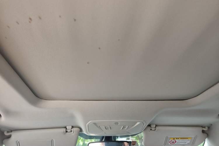 Used Ford Kuga 2017 EcoBoost 180 Two-Wheel-Drive Tiger Leap Model Headliner