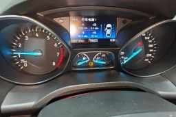 Thumbnail 13